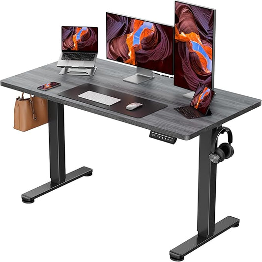 ErGear Height Adjustable Electric Standing Desk, 48 x 24 Inches Sit Stand up Desk, Memory Computer Home Office Desk, Grey by ErGear