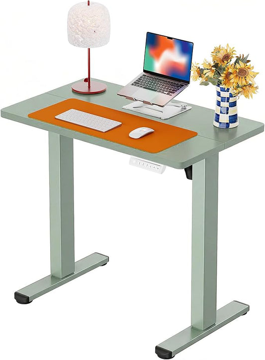 ErGear Height Adjustable Electric Standing Desk, 32 x 19 Inches Sit Stand up Desk, Memory Computer Home Office Desk,Green by ErGear