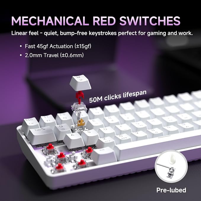 DIERYA DK68 60% Wireless Mechanical Gaming Keyboard, 3-Mode, Bluetooth 5.0/2.4G/USB-C, RGB Backlit, 68-Key Compact Mini for Windows, Mac, Linux - Linear Red Switch - White - Image 4