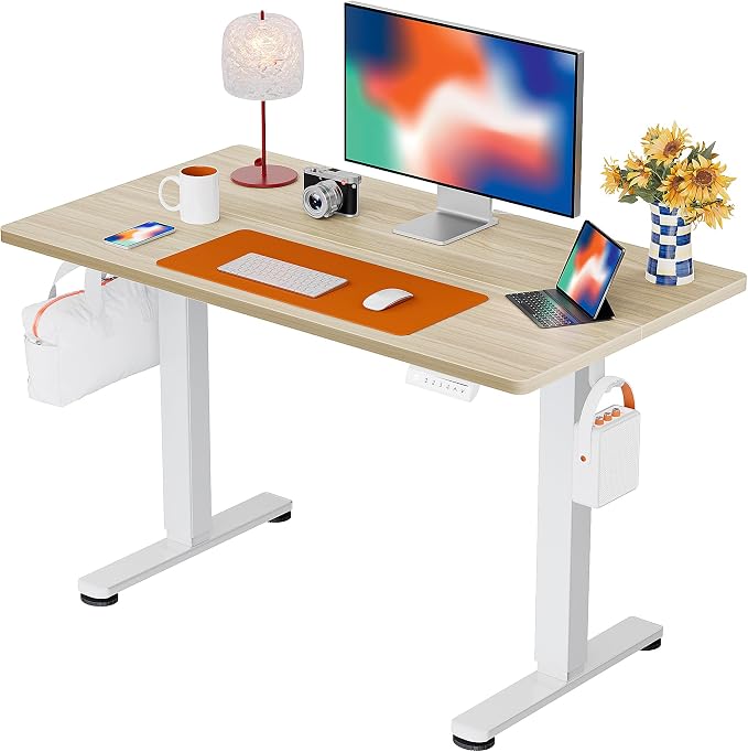 ErGear Height Adjustable Electric Standing Desk, 44 x 24 Inches Sit Stand up Desk, Memory Computer Home Office Desk, Natural by ErGear