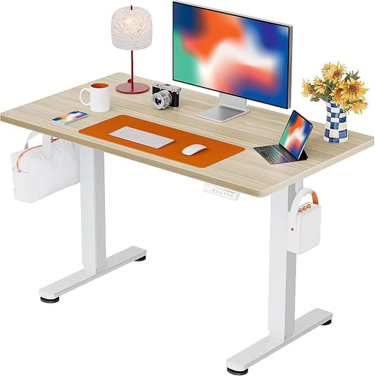 ErGear Height Adjustable Electric Standing Desk, 40 x 24 Inches Sit Stand up Desk, Memory Computer Home Office Desk, Natural by ErGear