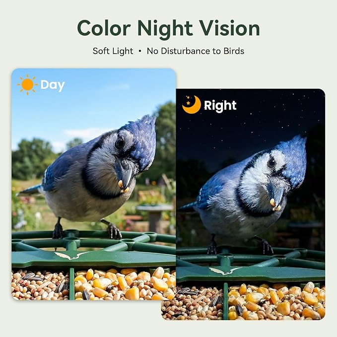 Smart Bird Feeder with Camera, AI Identify Birds Species, 2K HD Color Night Vision, IP65 Waterproof Solar Powered Bird Feeder with 142° Wide Angle, Auto Capture & Real-Time Notifications, Ideal Gift - Image 4