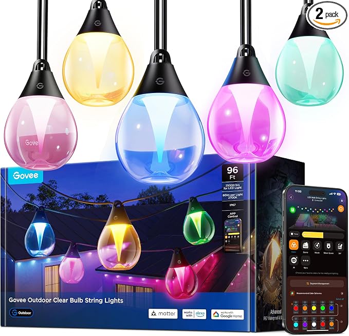 Govee Clear Bulb Outdoor String Lights, 96ft IP67 Patio & Backyard Lights | 30 RGBWIC Dimmable LED Bulbs, 111 Modes, Music Sync, IP67 Waterproof & Shatterproof, Work with Alexa, Google & Matter by Unknown