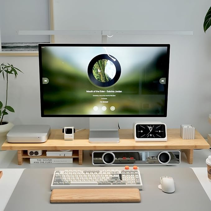 Bamboo Dual Monitor Stand Riser Natural, 2-Tier Desk Monitor Riser for 2 Monitors, Supports for PC Computer Monitor, Printer, Heavy TV Riser up to 300 lbs by Rocdeer