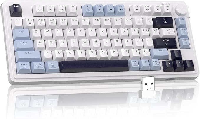MageGee Wireless Gaming Keyboard 81 Keys RGB Backlit Tri-Mode Bluetooth 2.4G USB-C Rechargeable Mechanical Feel Keyboard 4000mAh Battery Knob Control 26-Key Anti-Ghosting for PC Mac Windows – GK950 by MageGee