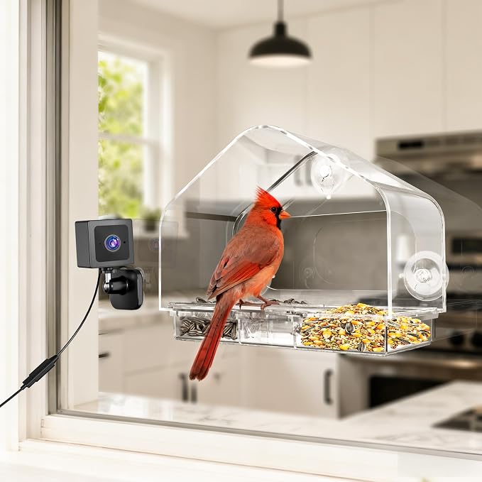 Smart Window Bird Feeder with 2K Camera & AI Identification, Strong Suction Cup Mount, All-Weather Design, Real-Time Alerts, Easy to Install, for Apartments & Homes, Perfect for Bird Lovers - Image 9