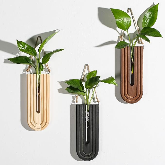 Dnnnii Indoor Wood Wall Planter Set of 3 for Plants - Boho Handmade Hanging Propagation Station with Curved Rainbow Design, Wall Mounted Vase for Flowers, Natural Home Decor Living Room Entryway by Dnnnii