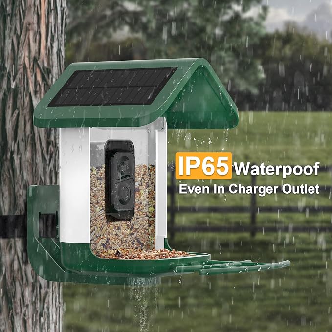 Bird Feeder with Camera Solar Powered : Smart Camera Bird Feeder 2K Live Feed Cam for Outdoor Backyard - Ai Identify Auto Capture Videos Pictures, Gifts for Birdlover Mom Dad, 2.4GHz WiFi - Image 4