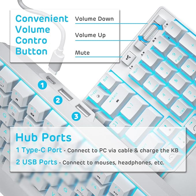 RK ROYAL KLUDGE RK96 Wireless Mechanical Keyboard with Magnetic Wrist Rest | 96 Keys Hot Swappable Wireless Gaming Keyboard with Software, Triple Mode BT5.0/2.4G/USB-C, Blue Backlight, Custom Switch - Image 5