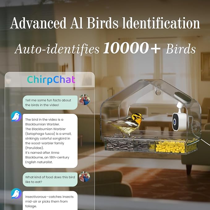 Smart Window Bird Feeder Camera with AI, Modern Design for Panoramic Views, 2K HD Live Feed, USB Powered & Secure Suction Mount - The Ultimate Tech Gift (Clear) - Image 4