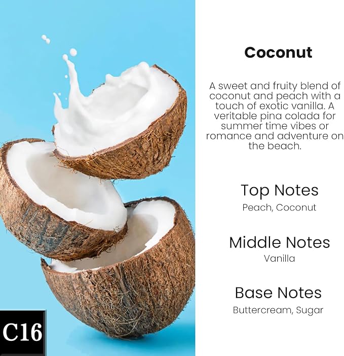 HoogaLife Car Air Freshener Diffuser 2 Pack Hanging Air Freshener Diffuser - Coconut Fragrance Oil Air D iffuser for Car, 45+ Days Long Lasting Fragrance Made in USA (C16) - Image 2