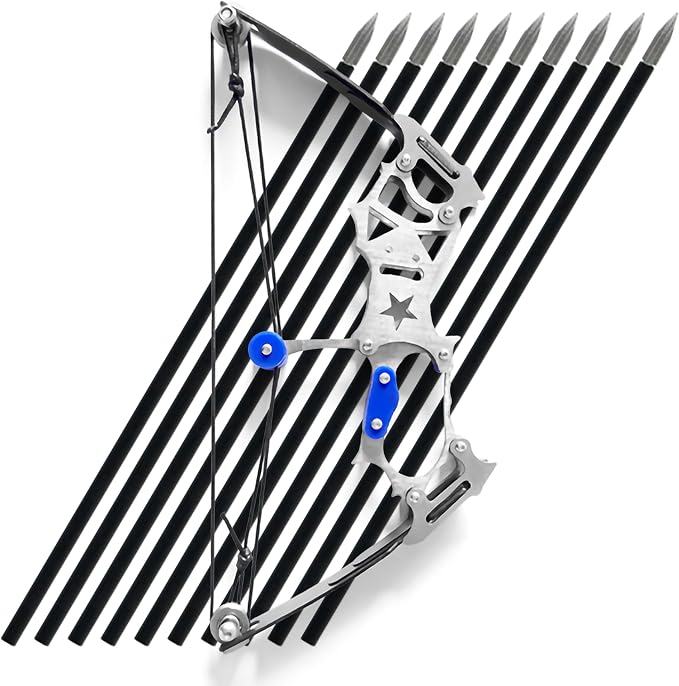 Archery Bow Set Left and Right Hand Compound Bow Hunting Bow Metal Material Catapult RH/LH for Practice Archery by TIETHEKNOT