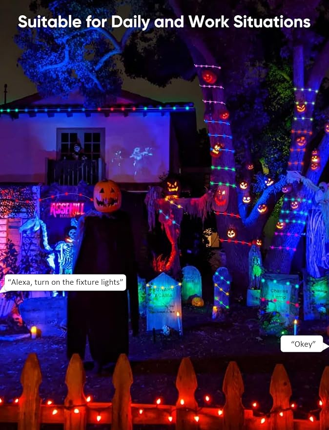 APPECK Outdoor String Lights 76FT with 200 LEDs, RGB Outdoor Patio Lights | IP65 Waterproof Porch String Lights, Color Changing, Scene Modes, for Garden Yard Holiday Party Daily Decor, Alexa Compatible - Image 9