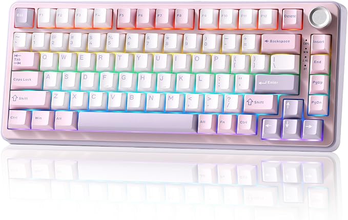YUNZII B75 PRO 75% Wireless Mechanical Keyboard (Purple, Cocoa Cream V2) | Hot Swap Keyboard with Knob, Gasket Mount, Creamy Pre-lubed Switch for Smooth Typing, BT/USB-C/2.4G, for Gaming by YUNZIIMECHANICALKEYBOARD