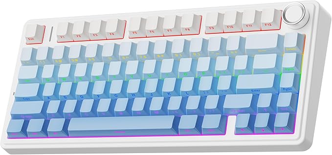 EPOMAKER x Aula F75 Gasket Mechanical Keyboard, 75% Wireless Hot Swappable Gaming Keyboard with Five-Layer Padding&Knob, BT/2.4GHz/USB-C, RGB (Blue Gradient, LEOBOG Reaper Switch) by EPOMAKER