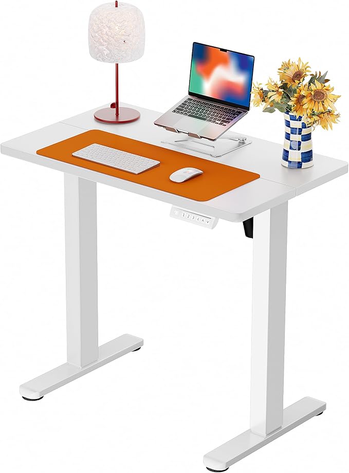ErGear Height Adjustable Electric Standing Desk, 32 x 19 Inches Sit Stand up Desk with Memory Presets, Computer Home Office Desk, White by ErGear
