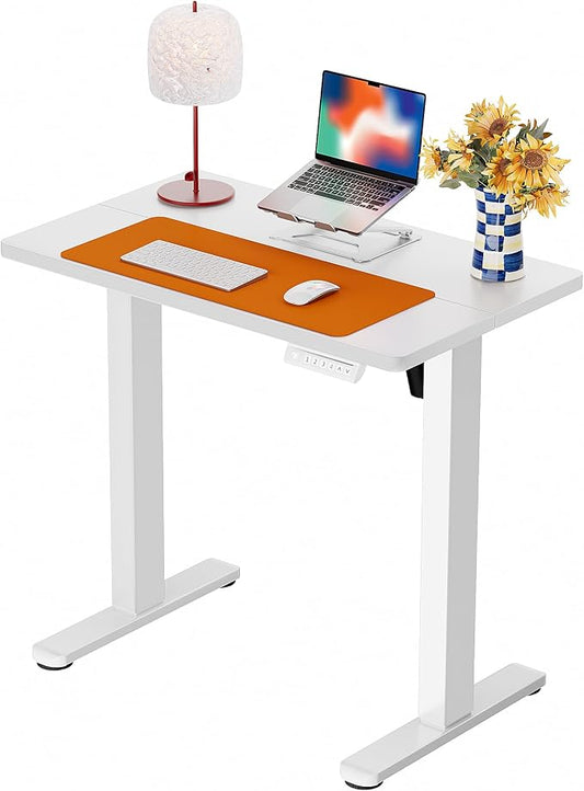 ErGear Height Adjustable Electric Standing Desk, 32 x 19 Inches Sit Stand up Desk with Memory Presets, Computer Home Office Desk, White by ErGear