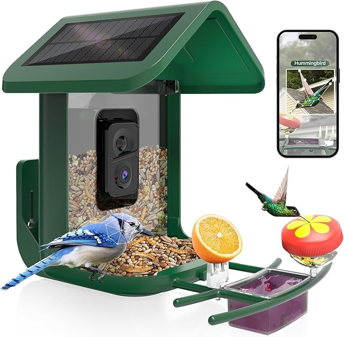 Bird Feeder with Camera Solar Powered : Smart Camera Bird Feeder 2K Live Feed Cam for Backyard - AI Identify Auto Capture Videos Pictures, Gifts for Birdlover Mom Dad, 2.4GHz WiFi by Onlyfly