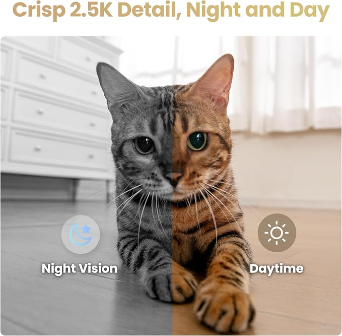Enabot EBO Air 2S Mobile Robot Camera: 2.5K FamilyBot with Two-Way Video | Whole-Home Mobility, Custom Facial Image, Auto-Recharge, Night Vision, Long Distance Gift for Family/Pets - Image 5