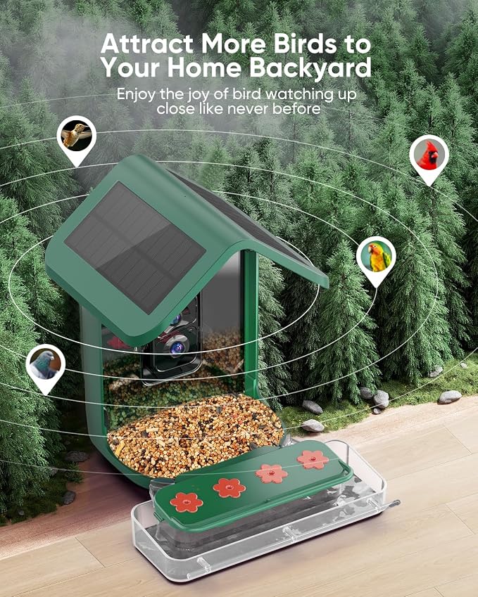 Bird Feeder with Camera Solar Powered: Smart Hummingbird Feeder for Backyard Tree - 2K Live AI Identify Auto Capture Bird Video - WiFi Bird Watching Feeders Gift for Mom Dad - Image 2