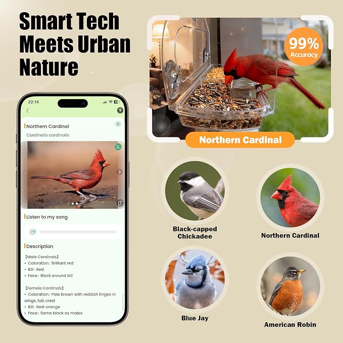 Smart Window Bird Feeder with 2K Camera & AI Identification, Strong Suction Cup Mount, All-Weather Design, Real-Time Alerts, Easy to Install, for Apartments & Homes, Perfect for Bird Lovers - Image 3