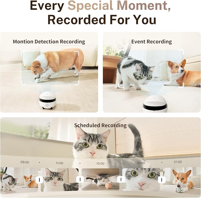 Enabot EBO ROLA Mini Pet Camera Robot: 2K FamilyBot Mobile Home Companion | Whole-Home Mobility, Two-Way Talk, Night Vision, Long Battery Life, Local Storage, Long Distance Gift - Image 8