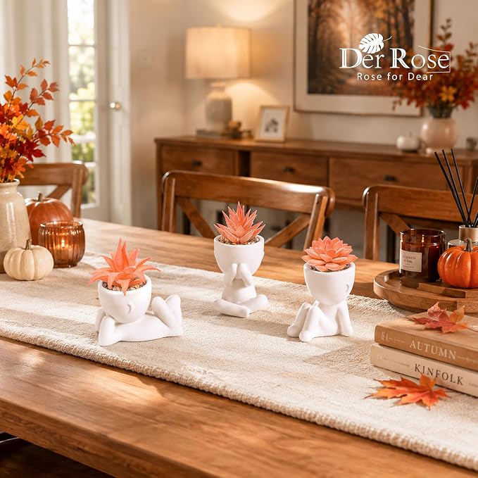 Der Rose Set of 3 Fall Artificial Succulent Plants, Small Fake Plants in Cute Pots, Autumn Room Decor for Bathroom, Bedroom, Office Desk, Shelf - Image 5