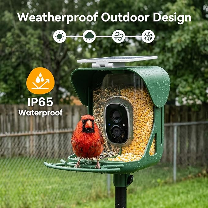 Smart Bird Feeder with Camera, AI Identify Birds Species, 2K HD Color Night Vision, IP65 Waterproof Solar Powered Bird Feeder with 142° Wide Angle, Auto Capture & Real-Time Notifications, Ideal Gift - Image 7
