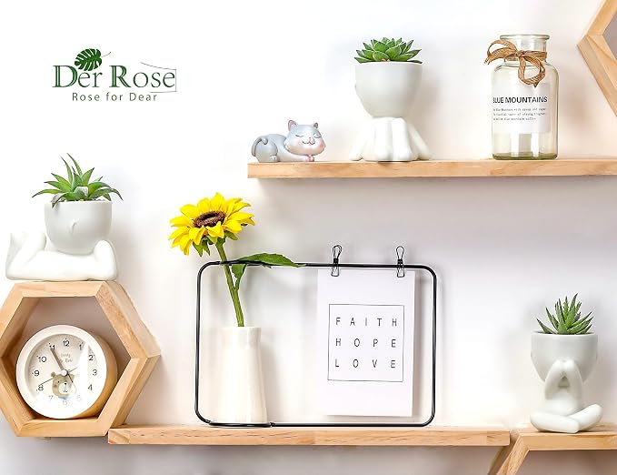 Der Rose 3pcs Fake Succulents Plants Artificial for Bathroom Bedroom Home Room Decor Aesthetic Indoor - Image 5