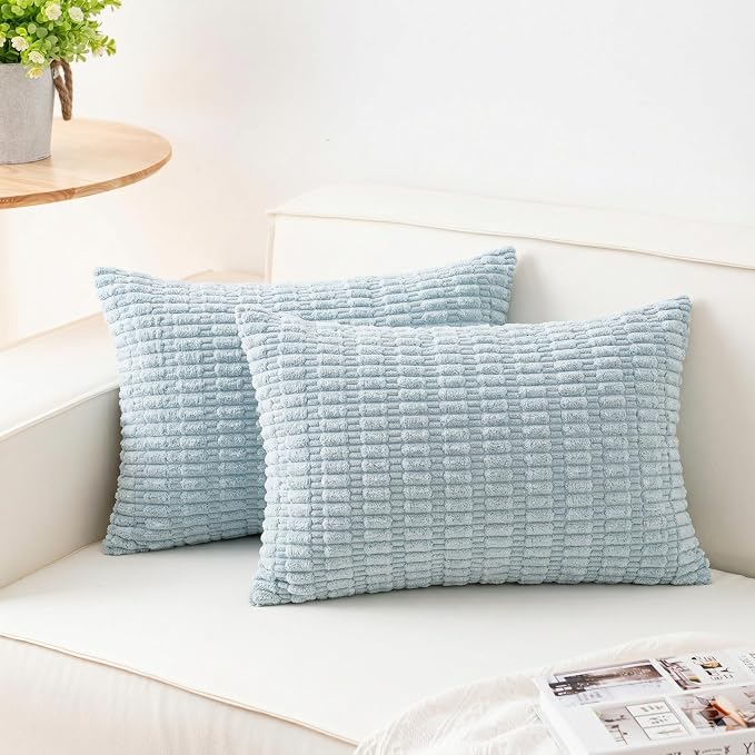 Aegero Pack of 2 Corduroy Decorative Throw Pillow Covers 12x24 Inch Soft Striped Pillow Covers Modern Farmhouse Home Decor for Sofa Living Room Couch Bed（Sky Blue） by Unknown