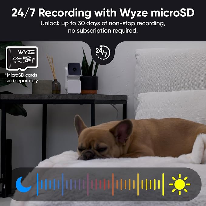 WYZE Cam Pan v3, Indoor/Outdoor IP65-Rated 1080p Pan/Tilt/Zoom Wi-Fi Smart Home Security Camera with Color Night Vision, 2-Way Audio, Compatible with Alexa & Google Assistant, Free Expert Setup - Image 10