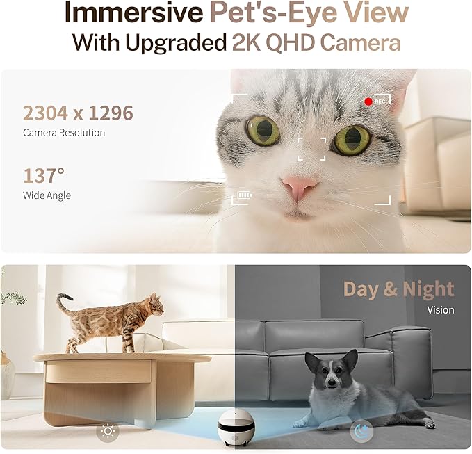 Enabot EBO ROLA Mini Pet Camera Robot: 2K FamilyBot Mobile Home Companion | Whole-Home Mobility, Two-Way Talk, Night Vision, Long Battery Life, Local Storage, Long Distance Gift - Image 4