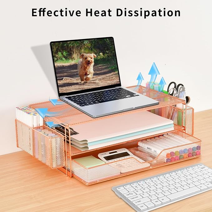 AUPSEN Computer Monitor Stands Riser，2-Tier Desk Organizers and Accessories, Office Desk Accessories Organizer with Drawers and 2 Pen Holder for Office Supplies (Rose Gold) - Image 2