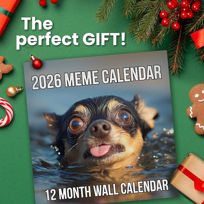 2026 Memes Wall Calendar | 12 Months of Hillarious Memes/Jokes to Keep You Laughing All Year, Funny White Elephant Gift For Him or Her, Give Them Something That Will Make Them Smile - Image 4