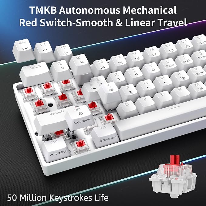 DIERYA 60% Mechanical Keyboard, DK61se Wired Gaming Keyboard with Red Switches, LED Backlit Ultra-Compact 61 Keys Mini Office Keyboard for Windows Laptop PC Gamer Typist（White） - Image 3