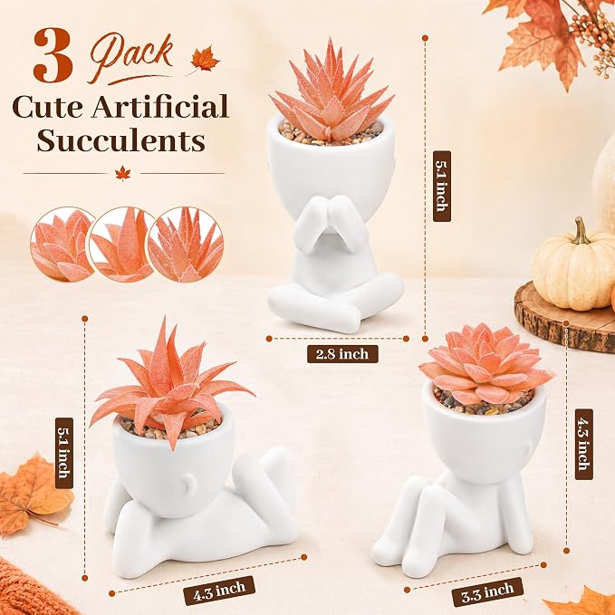Der Rose Set of 3 Fall Artificial Succulent Plants, Small Fake Plants in Cute Pots, Autumn Room Decor for Bathroom, Bedroom, Office Desk, Shelf - Image 2