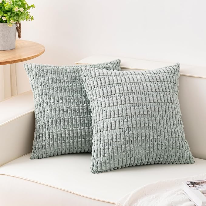 Aegero Pack of 2 Corduroy Decorative Throw Pillow Covers 18x18 Inch Soft Striped Pillow Covers Modern Farmhouse Home Decor for Sofa Living Room Couch Bed（Aqua） by Unknown