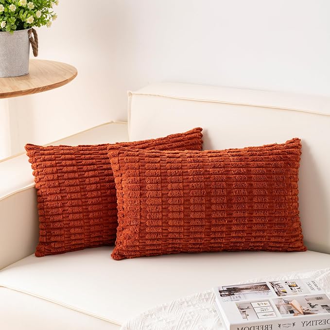 Aegero Pack of 2 Corduroy Decorative Throw Pillow Covers 12x20 InchSoft Boho Striped Pillow Covers Modern Farmhouse Home Decor for Sofa Living Room Couch Bed（Rust） by Unknown