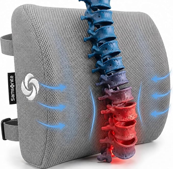 Samsonite Memory Foam Lumbar Support Pillow for Office Chair, Gaming Chair & Car Seat Automotive Use, Ergonomic Back Cushion, Work from Home Essentials, Office Essentials for Sitting Comfort, Grey by Samsonite