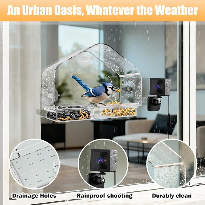 Smart Window Bird Feeder with 2K Camera & AI Identification, Strong Suction Cup Mount, All-Weather Design, Real-Time Alerts, Easy to Install, for Apartments & Homes, Perfect for Bird Lovers - Image 2