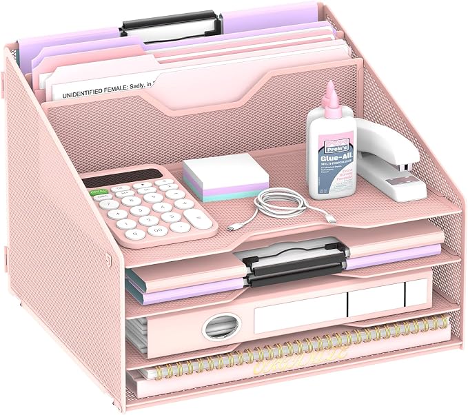 Desk File Organizer, 4 Letter Trays and 2 Upright Sections, Pink | Paper Organizer for Desk with Tiered Letter Trays and Vertical File Holders for Home Office, School and Workspace Use by Unknown