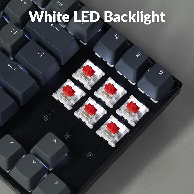 Keychron K8 Tenkeyless Wireless Mechanical Keyboard for Mac, White Backlight, Bluetooth, Multitasking, Type-C Wired Gaming Keyboard for Windows Red Switch - Image 6