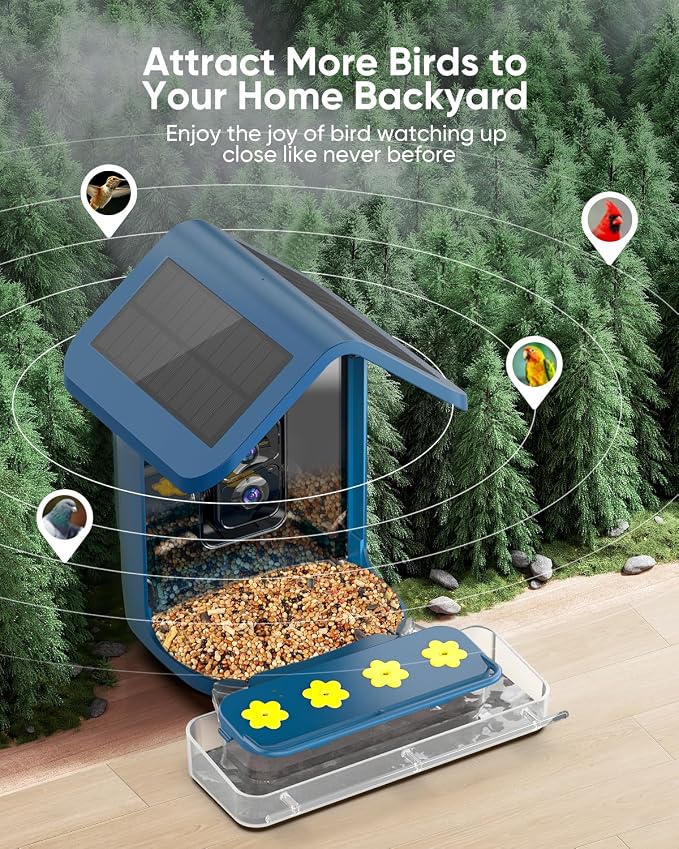 Bird Feeder with Camera Solar Powered : Smart Camera Bird Feeder 2K Live Feed Cam for Outdoor Backyard - Ai Identify Auto Capture Videos Pictures, Gifts for Birdlover Mom Dad, 2.5GHz WiFi - Image 2