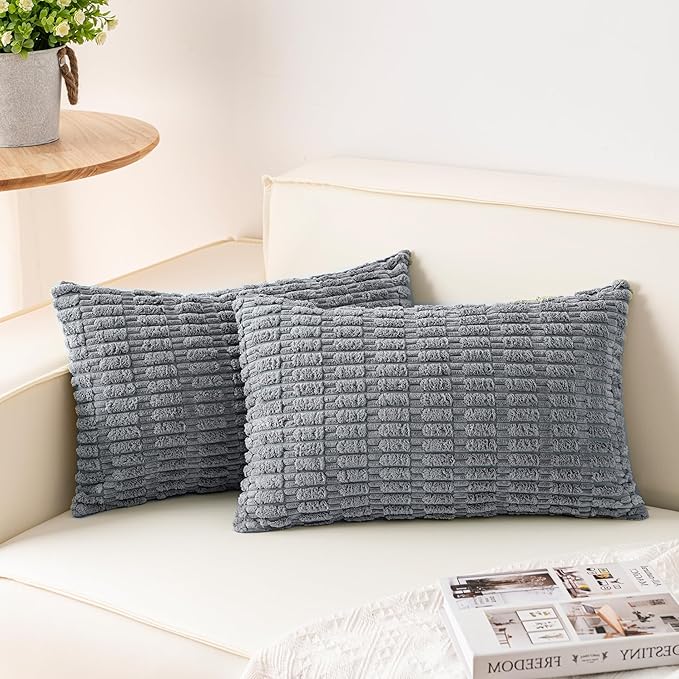 Aegero Pack of 2 Corduroy Decorative Throw Pillow Covers 12x24 Inch Soft Striped Pillow Covers Modern Farmhouse Home Decor for Sofa Living Room Couch Bed（Light Grey） by Unknown