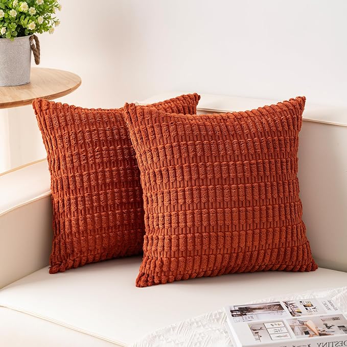 Aegero Pack of 2 Corduroy Decorative Throw Pillow Covers 20x20 InchSoft Boho Striped Pillow Covers Modern Farmhouse Home Decor for Sofa Living Room Couch Bed（Rust） by Unknown
