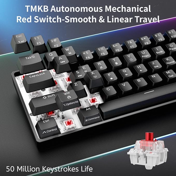 DIERYA 60% Mechanical Keyboard, DK61se Wired Gaming Keyboard with Red Switches, LED Backlit Ultra-Compact 61 Keys Mini Office Keyboard for Windows Laptop PC Gamer Typist（Black） - Image 3