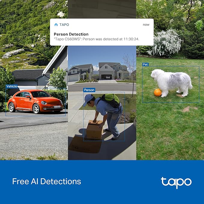 Tapo 4K 8MP Wired Pan/Tilt Outdoor Security Camera, Free Person/Vehicle Detect & 360° View, Color Night, Local AI, SD/Cloud Storage, Works w/Alexa & Google Assistant, 2.4 GHz WiFi C560WS - Image 4