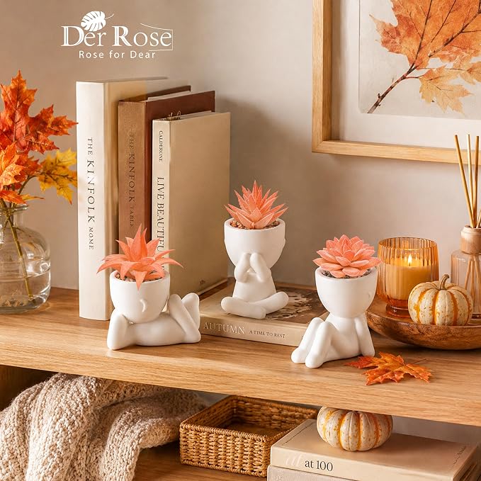 Der Rose Set of 3 Fall Artificial Succulent Plants, Small Fake Plants in Cute Pots, Autumn Room Decor for Bathroom, Bedroom, Office Desk, Shelf - Image 3